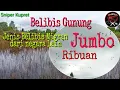 Download Lagu #Berburubelibis#belibisgunung#belibisbatu Berburu belibis gunung || bebilis batu || belibis migran