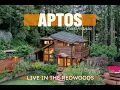 1440 Fern Flat Rd Aptos CA 95003