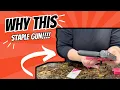 Review of Pink Staple Gun