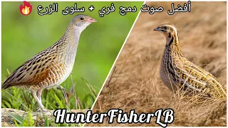 أفضل صوت دمج فر ي سلوى الزرع  صوت ممتاز                                                             دندنها