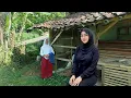 Download Lagu TAK SENGAJA.. JUMPA GADIS DESA DENGAN PARAS CANTIK ALAMI HIDUP SEDERHANA DIPELOSOK PEDESAAN