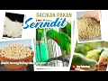 Download Lagu \