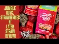 Jungle Boys - Strawberries N Later Strain Review