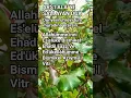Download Lagu ACİL DİLEĞİ İHTİYACI İSTEĞİ SIKINTISI OLANLAR OKUSUN MUCİZEVİ ZİKİR 🤍#islamicvideo