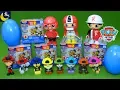 Download Lots of Paw Patrol Surprise Toys Blind Bags Series 2 Ryan's World Surprise Eggs Mix and Match Toys mp4 3gp mp3 videos - waplic