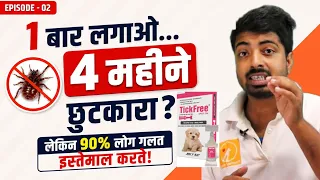 How to use spot-on to remove ticks from the dog? Get better result.