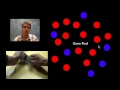 Microevolution