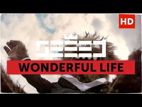 Download MP3 Seeed - Wonderful Life (Aargh Video)