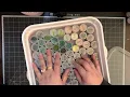 Diamond Dotz Haul I hit the jackpot at Hobby Lobby