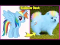 Download Lagu My Little Pony Becomes Dog 😱 MLP If Were Dog In Real Life