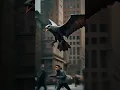 Download Lagu Dragon Bird Found In Newyork City||Led Entertainment||#Led Tv