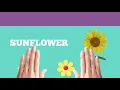 Compound words practice