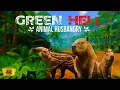 Green Hell - Catch Tame Animal Husbandry Update Craft Blowpipe Survival Gameplay Tips Tricks