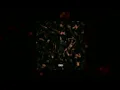 LOE SHIMMY - BAG RITE (slowed + reverb)