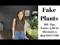 Fake Plants 101 Tips Tricks REAL Alternatives that DON T DIE