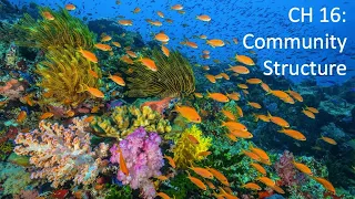 BL 232 Week 10 CH 16 Community Structure