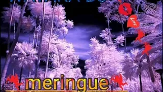 watara dj meringue