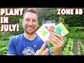 What To Plant In JULY In Your Garden 9 PERFECT Veggies For Zone 8b Texas