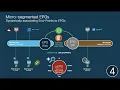 Module 3 - Episode 1 Part 2 Understanding the logical network model