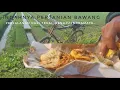 Download Lagu pulang dari tegal ke indramayu naik motor saja