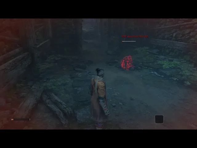 Sekiro: Online - Animation and models