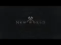 New World Unable to load the game after Steam update - Untrusted in to steam