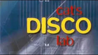 Download Cat's Disco Lab - Space Cat's Attack MP3