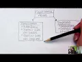 Triangles and Quadrilateral Flow Chart