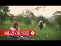Download Lagu MARIA SI MIHAI NEMES - NOU - Uiuiu ca zine mandru | 2020 ©