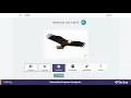 Semantic Feature Analysis - Tactus Virtual Rehab Center Aphasia Therapy Enhance Word Retrieval