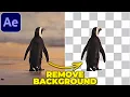 REMOVE BACKGROUND from in After Effects Rotobrush Tutorial