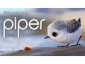 Video di Piper Short Film by Disney Pixar