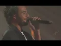 Amir - On dirait - live @ Cigale 2016