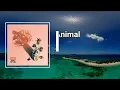 Noah Kahan - Animal  (Lyrics)