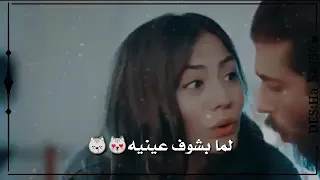 واحشني ايه من دالي ديبة فيه اناح موت عليه 