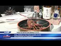 Full Moon SD restaurant reacts to Purple Tier restrictions