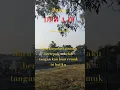 Download Lagu Pupus - DEWA 19 #cover #shorts #nostalgia #lagu#tembang #kenangan@Radiojaddoels