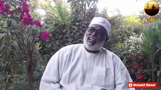 من بف نفسك يا القطار     اولاد كسلا دندنها