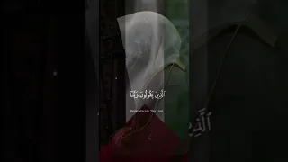 ومالكم لا تقاتلون في سبيل الله الشيخ ياسر الدوسري سورة النساء قرآن فلسطين 