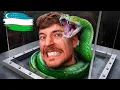 Download Lagu 800.000$ uchun qo'rquvga tik qara - MrBeast O'zbek tilida