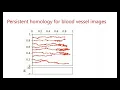 Persistent homology for blood vessel images John Nardini