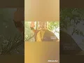 Download Lagu Ajian Rengkah Gunung Nyai Durgandini
