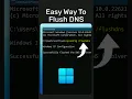 Flush DNS on Windows