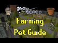 Old School RuneScape Farming Pet Guide