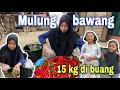Download Lagu 15 kg CABAI DI BUANG PEDAGANG⁉️ DI BAWA SEMUA