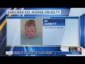 2 horses found dead in Archer County woman arrested