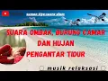 Download Lagu suara ombak, burung camar dan hujan pengantar tidur | musik relaksasi