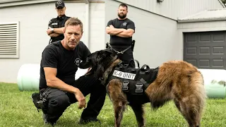 عصابة بتقتل كلبه العجوز لكنهم ميعرفوش أنه ضابط قوات خاصة وهينتقم منهم كلهم 