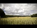 Aphex Twin - Rhubarb - Slowmo version