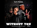 Sun-EL Musician Feat. Black Motion & Miss P - Without You (Official Audio)